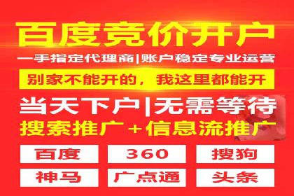 百度竞价代理的客户案例：如何实现ROI最大化